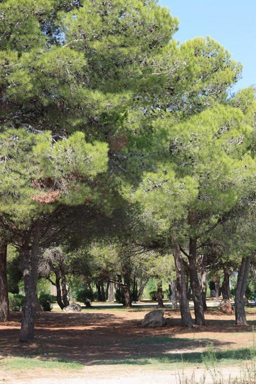 Casa Mireia I Paula Βίλα Riumar Εξωτερικό φωτογραφία